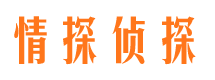 禄丰市调查公司